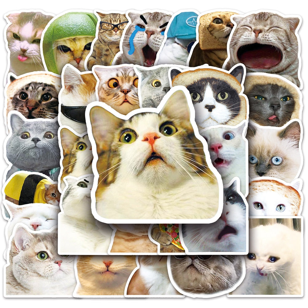 Cat Stationary Stickers, Funny Stickers Cats, Cat Memes Stickers
