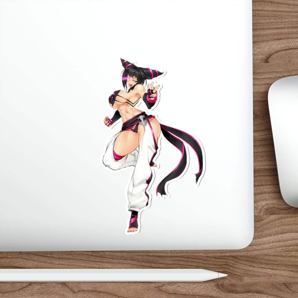 Sexy Han Juri Street Fighter Waterproof Sticker - Ecchi Vinyl Decal –  K-Minded